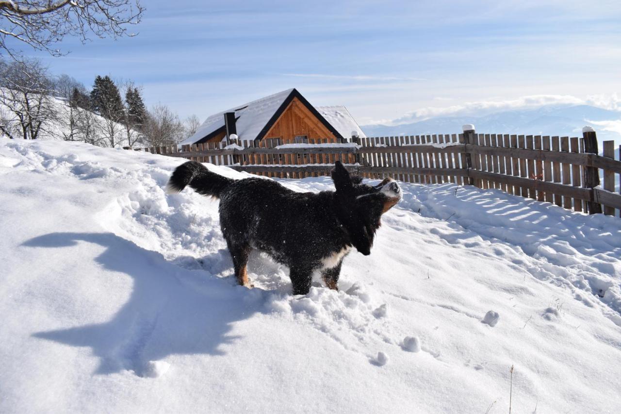 Ferienhaus Schleinzer Prebl Buitenkant foto