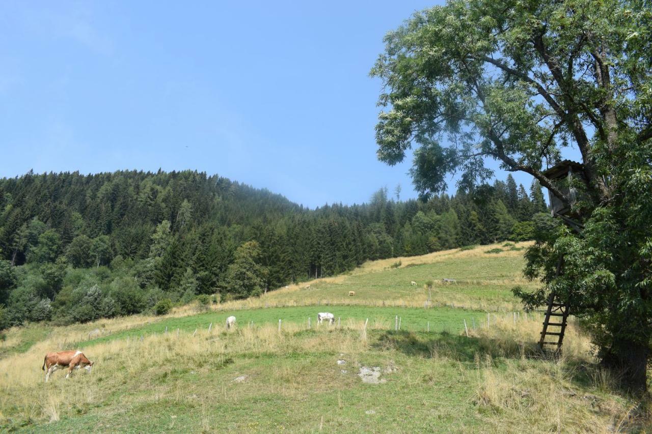Ferienhaus Schleinzer Prebl Buitenkant foto